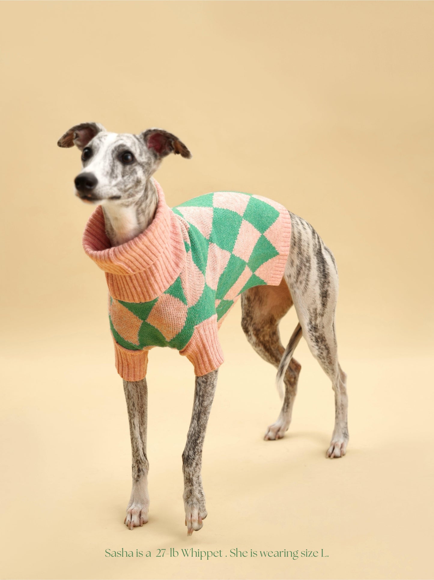 Sunday Brunch in Brooklyn Sweater
